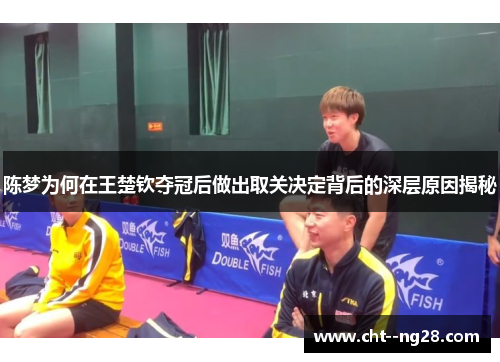 陈梦为何在王楚钦夺冠后做出取关决定背后的深层原因揭秘
