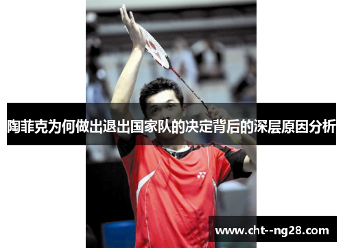 陶菲克为何做出退出国家队的决定背后的深层原因分析