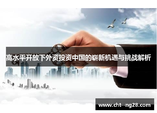 高水平开放下外资投资中国的崭新机遇与挑战解析