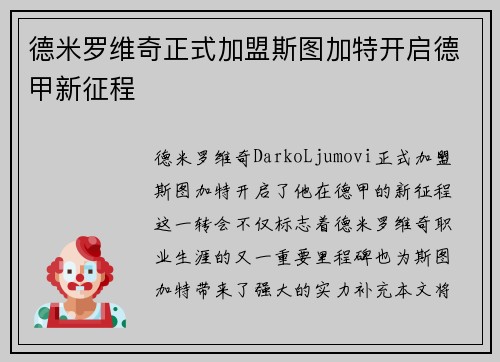 德米罗维奇正式加盟斯图加特开启德甲新征程